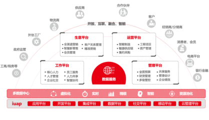 軟件產(chǎn)品與基礎(chǔ)軟件服務(wù) 數(shù)字化轉(zhuǎn)型的雙引擎