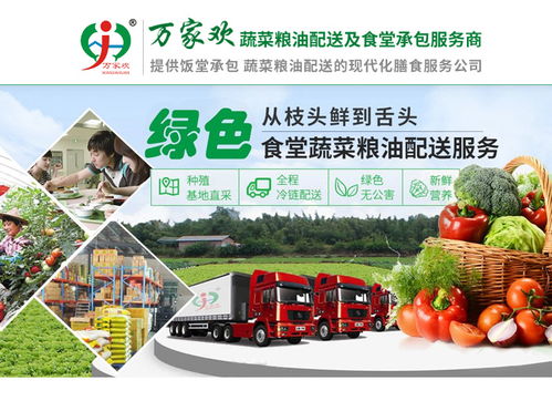 承包佛山萬家歡公司柳州食堂項目 餐飲企業管理的核心步驟與策略